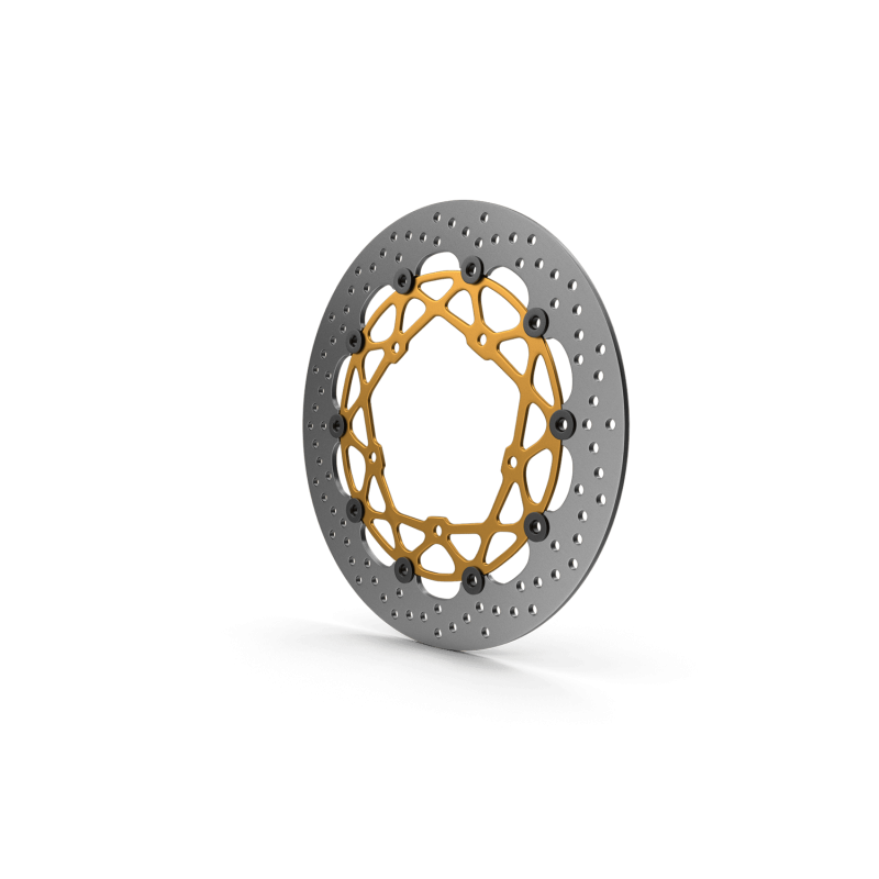 Motorcycle Break Disk