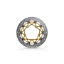 Motorcycle Break Disk