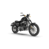 Cruiser Motorcycle