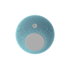 Voice Assistant