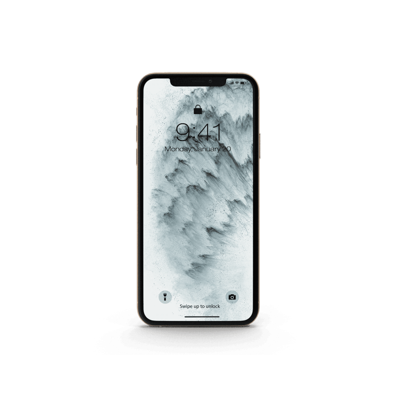 Pro Phone 11 Demo Mock-up