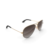 Classic Aviators