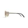 Light Tone Sunglasses