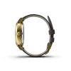 Classic Gold Watch