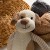Knit Toy 02