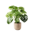 Indoor Plant 03