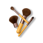 Brush Set