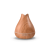 Oils Diffuser