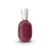 Decorative Diffuser