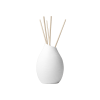 Fragrance Diffuser
