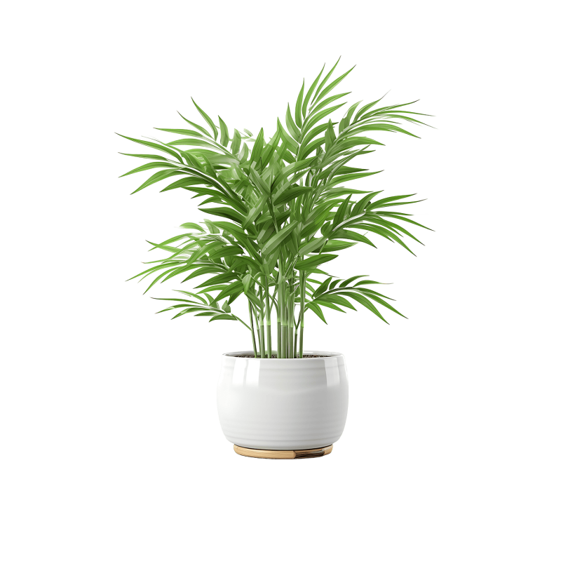 Desk Plant 01