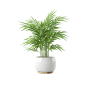 Desk Plant 01