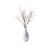 Desk Plant 02