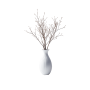 Desk Plant 02