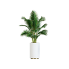 Plant Decor 02