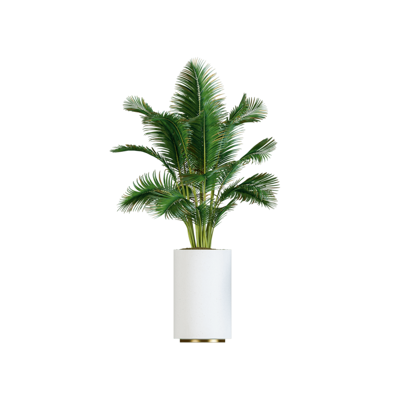 Plant Decor 02