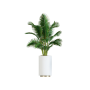 Plant Decor 02