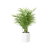 Plant Decor 03