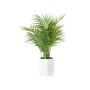 Plant Decor 03