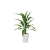 Plant Decor 04