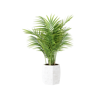Plant Decor 05