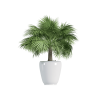 Plant Decor 05