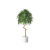 Plant Decor 05