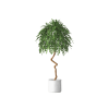 Plant Decor 07