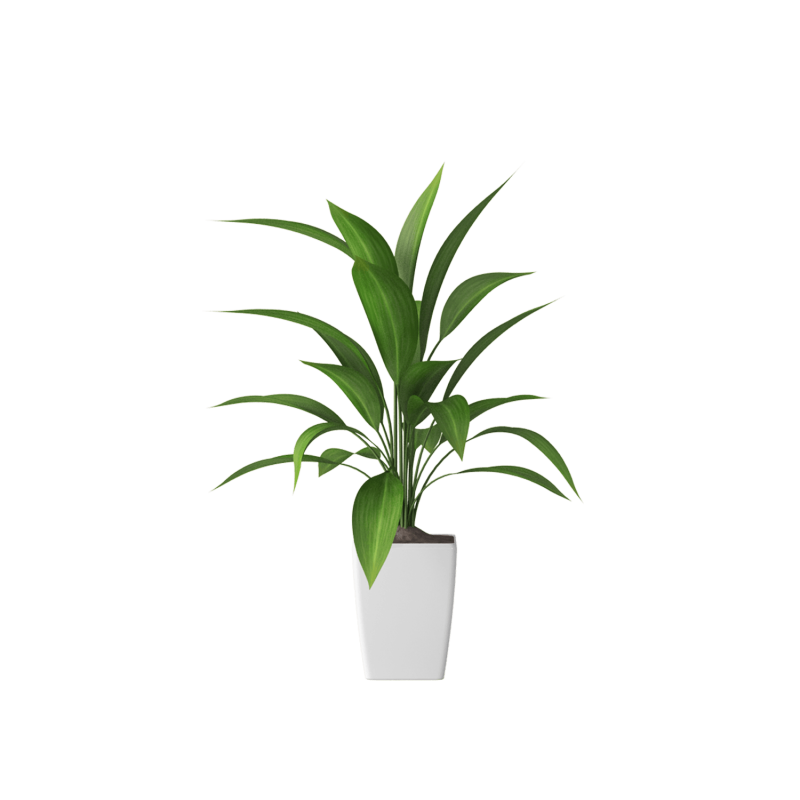 Plant Decor 07