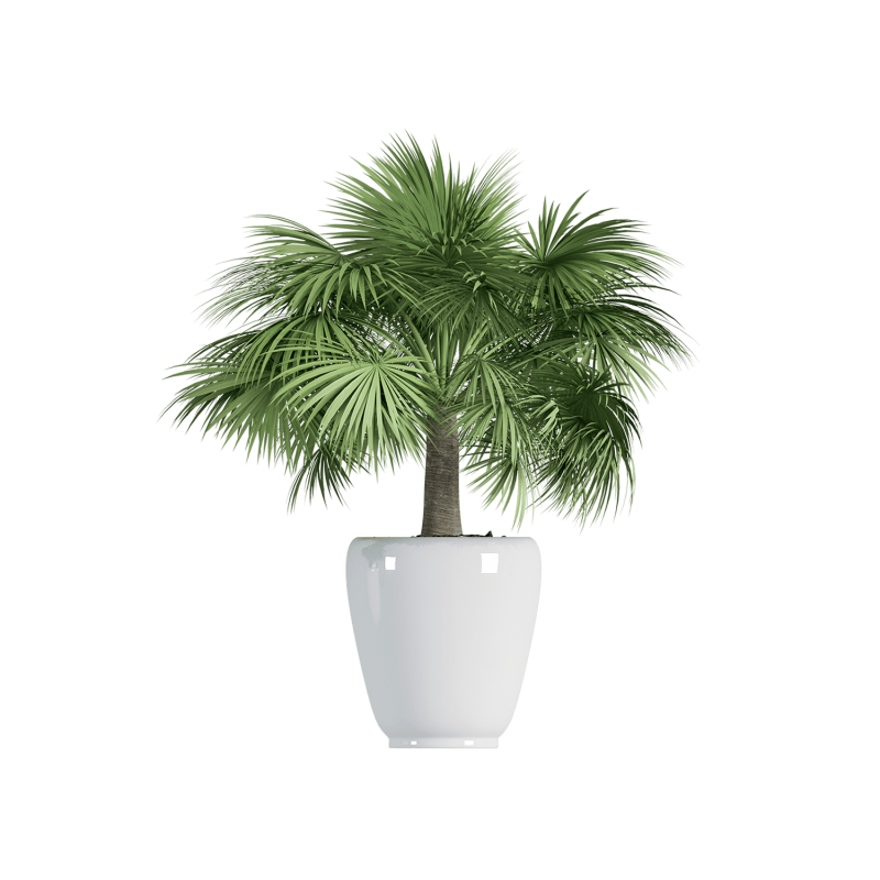 Plant Decor 07