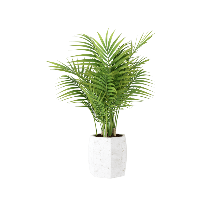 Plant Decor 07