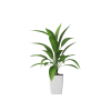 Plant Decor 08