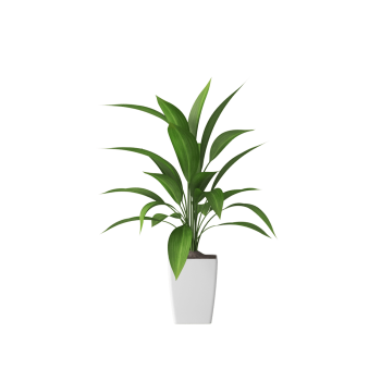 Plant Decor 09