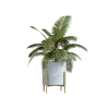 Plant Decor 09