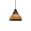 Pendant Light 05