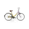 Rainbow Polyvalent Bike