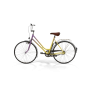 Rainbow Polyvalent Bike