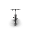 Electric Carbon Bike