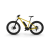 Electric Fat Bike