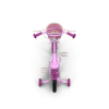 Girls Bike with Training Wheels
