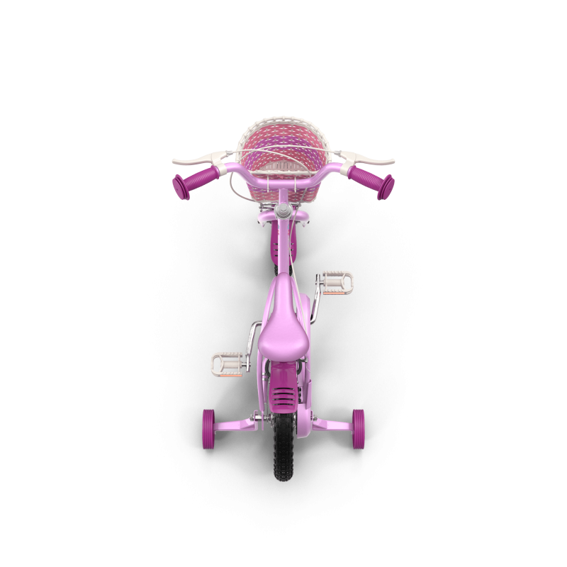 Girls Bike with Training Wheels