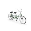 Green Tandem Bike