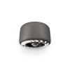 Skateboard Wheel