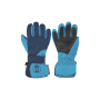 Ski Gloves 03
